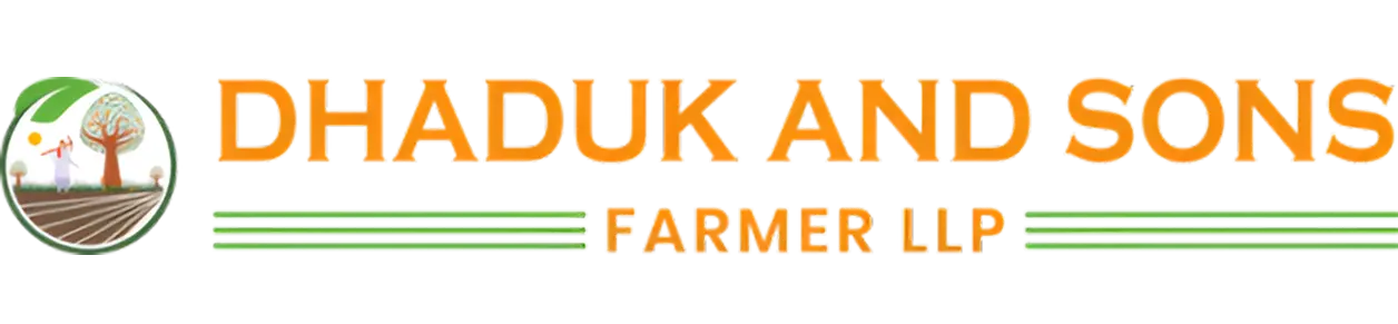 Dhaduk and Sons Logo